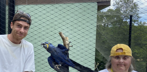 Visite Zoo Terre De Natae 2024